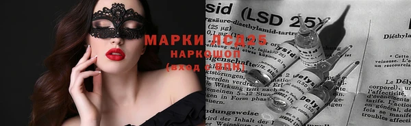 прущие грибы Арсеньев