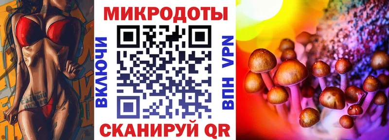 Псилоцибиновые грибы Psilocybe Слюдянка